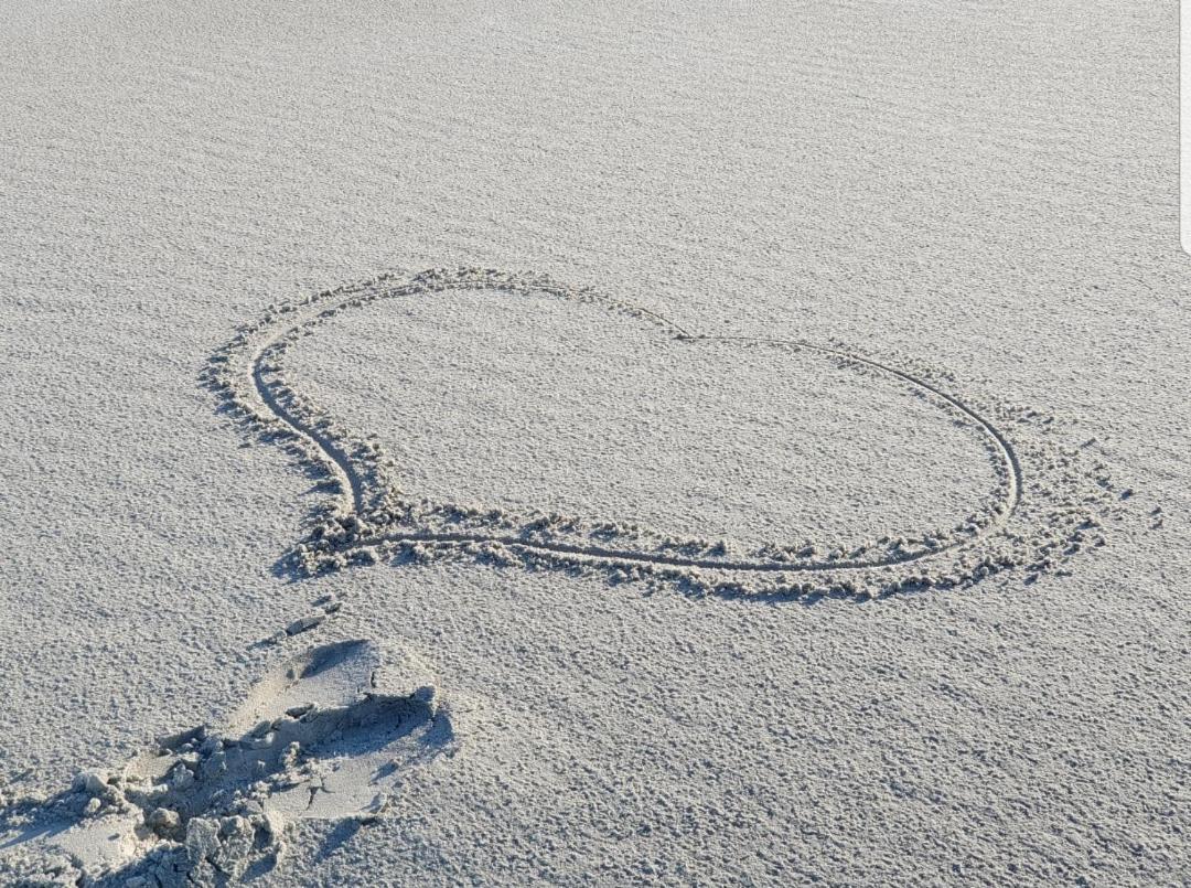 Pension Bakema Ameland نيس المظهر الخارجي الصورة